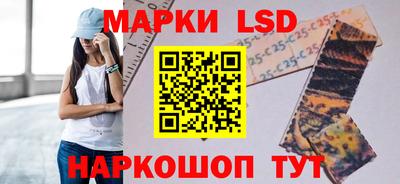 PSILOCYBIN Чебоксары
