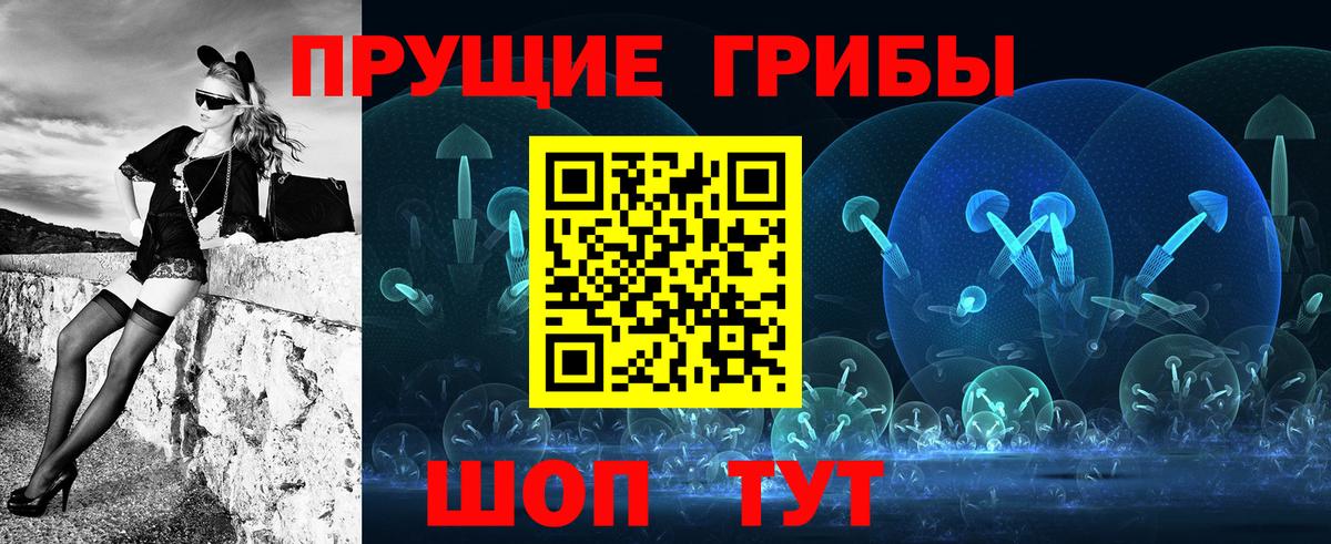 Галлюциногенные грибы Psilocybine cubensis Белая Калитва